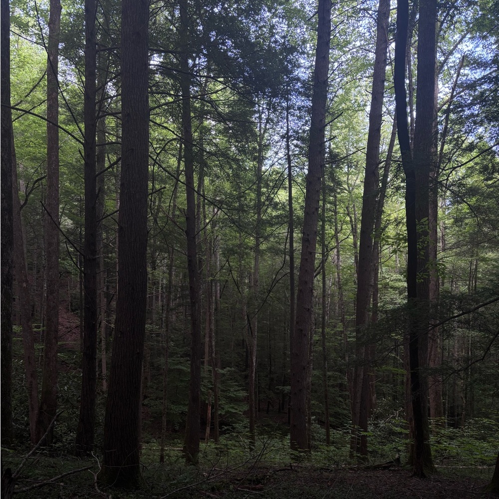 Meet your Posher, Ramiro